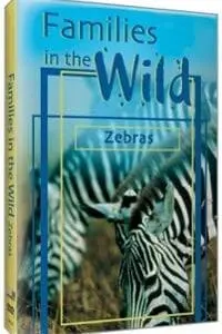 DVDs For Schools