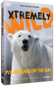 DVDs For Schools