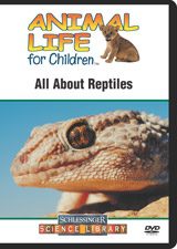 Animal life for children poster with a frog image