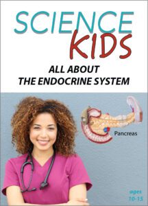 Science Kids: All About The Endocrine System