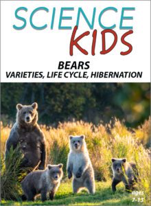 Science Kids: Bears-Varieties, Life Cycle, Hibernatio