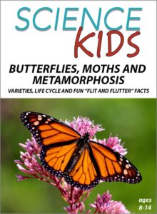 Sk Butterflies moths and metamorphosis