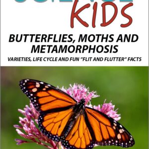 Sk Butterflies moths and metamorphosis