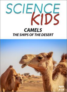 SK_Camels