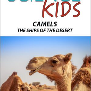 SK_Camels