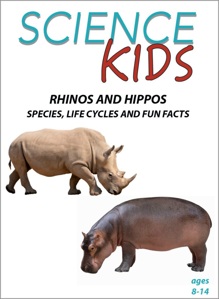 Science Kids: Rhinos and Hippos-Species, Life Cycles and Fun Facts