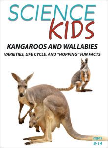 SK_KangaroosWallabies