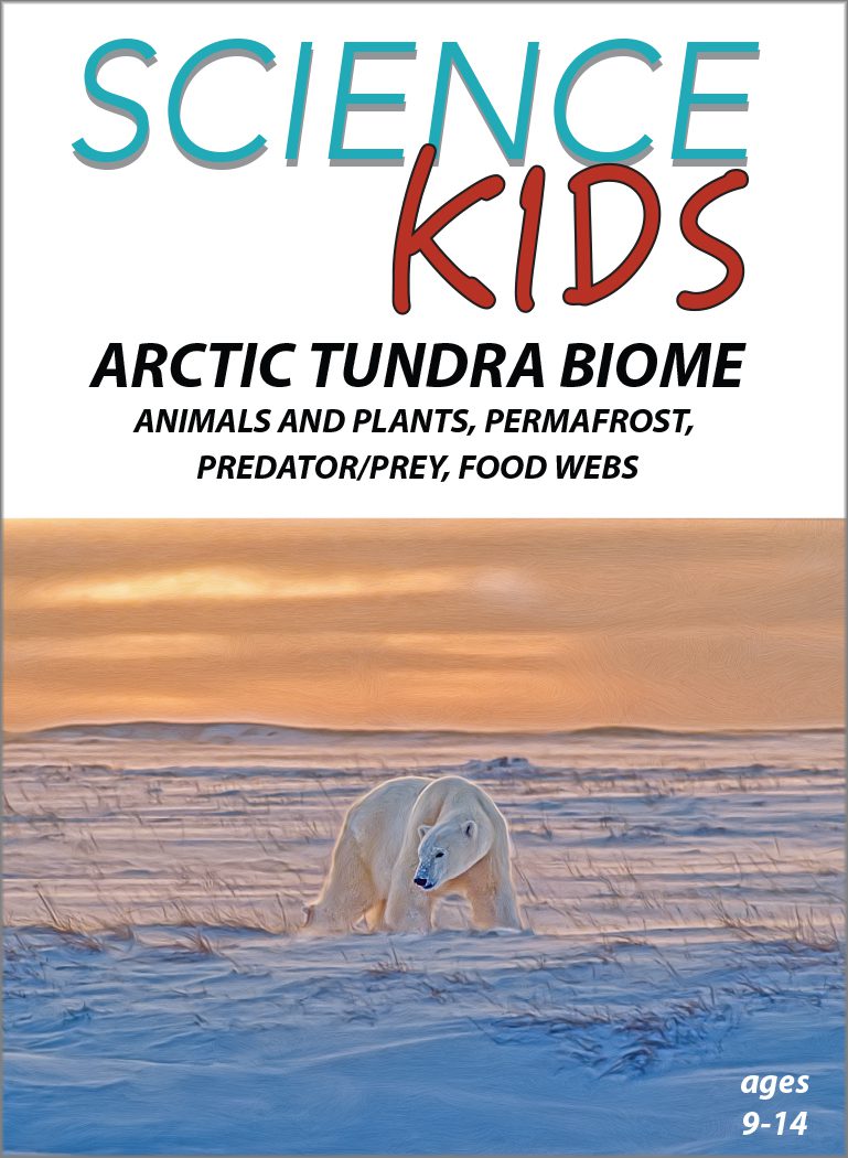 Science Kids: The Arctic Tundra-Biome of the North - Animals and Plants,  Permafrost, Predator/Prey, Food Webs - DVDs For Schools