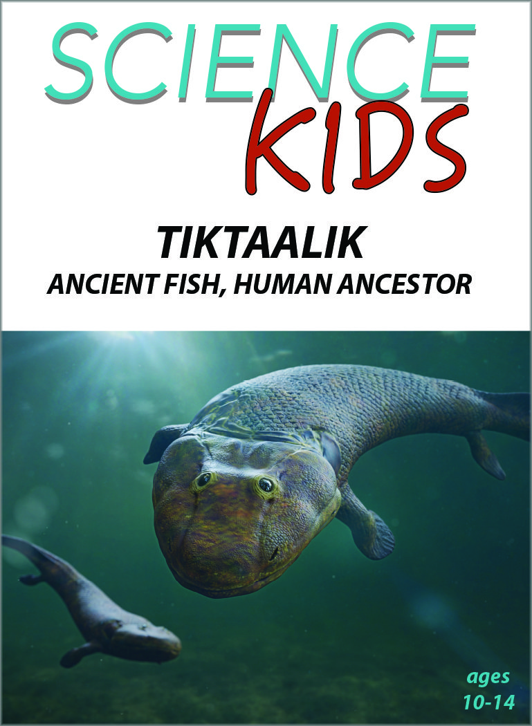 Human Evolution From Fish